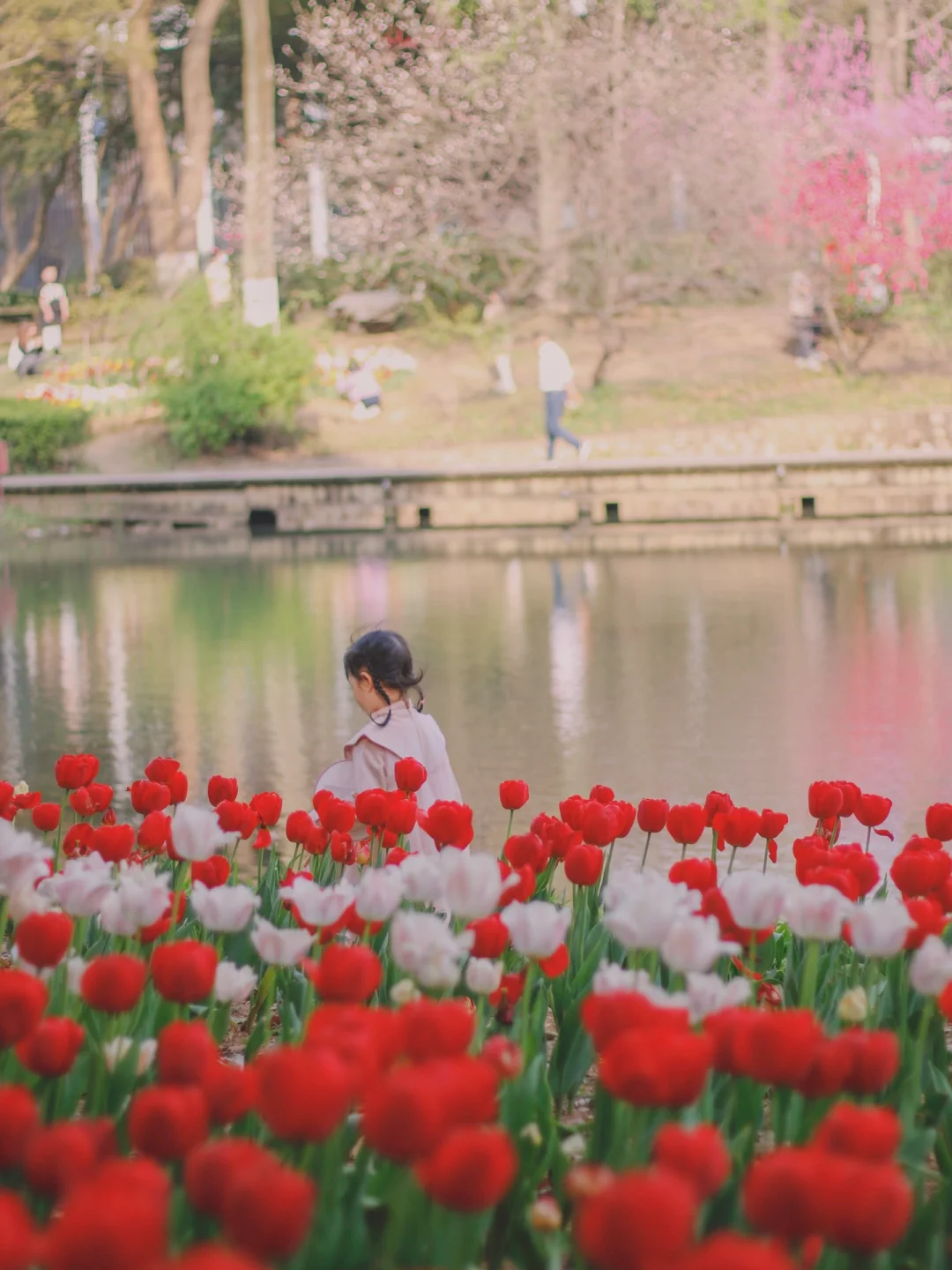 🌷接下来的武汉，不能错过的浪漫郁金香花海