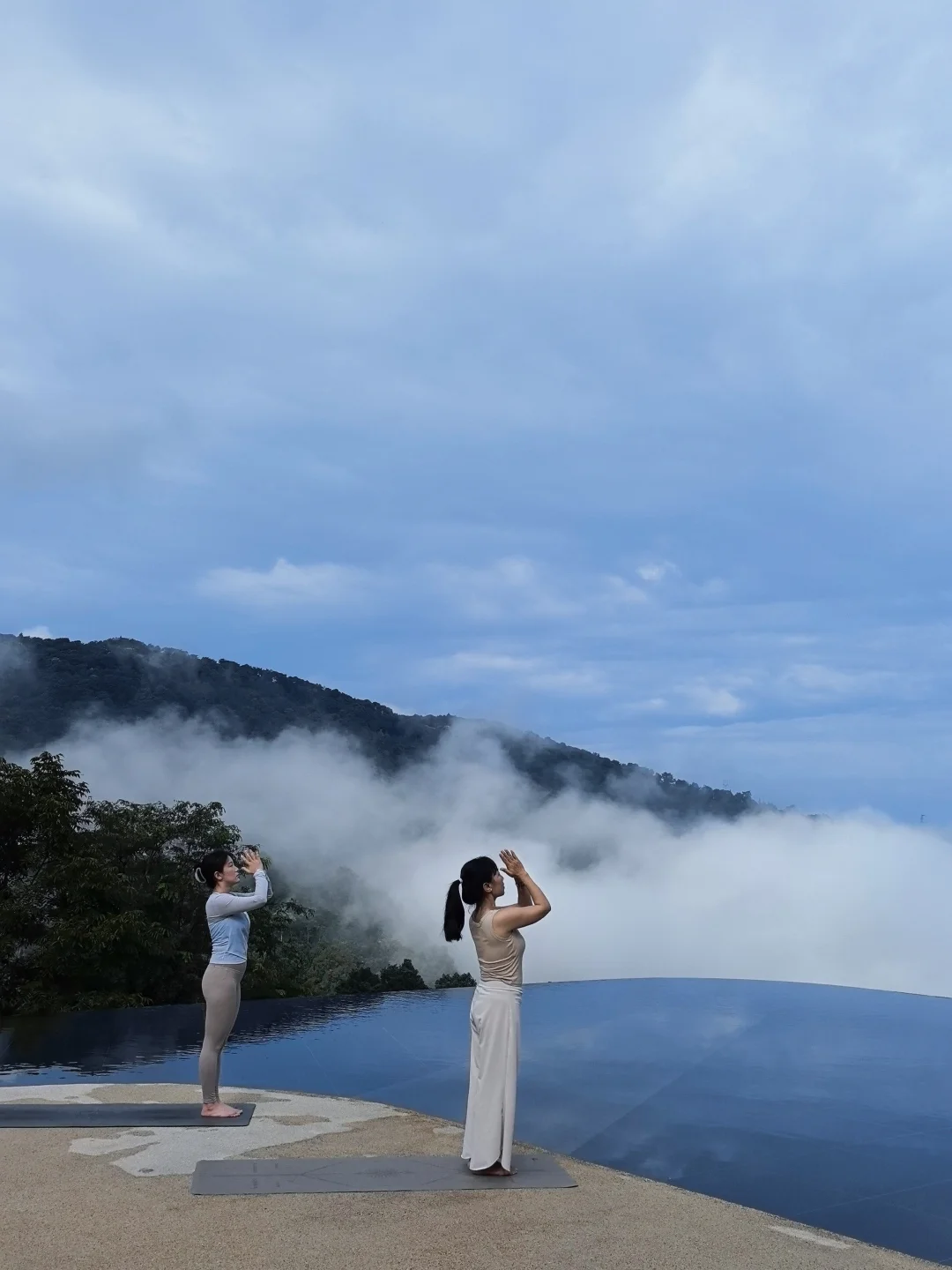 刚到版纳，直接冲上山的惊喜