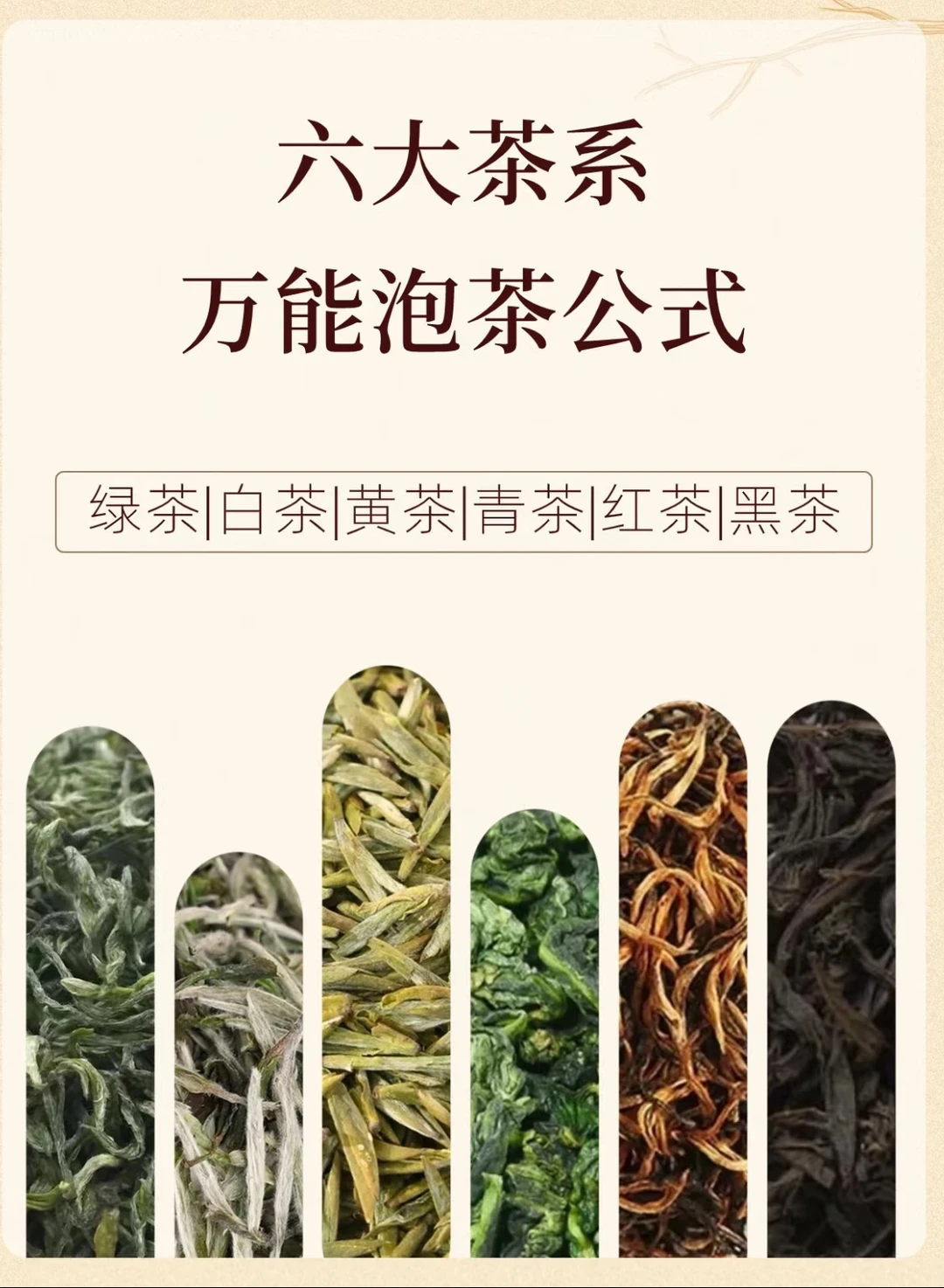 六大茶类泡茶公式：简单易懂，泡出好茶味