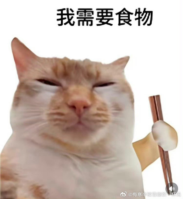 龙骨焚箱不抬上来，抬夜旅人也行啊，毕竟我还是看好小说跟付辛博的，趁乱趁热最近剧荒啊 （我完了，我明明记得是付辛博，为什么打字打的井柏然，我不吃他俩啊啊啊啊啊啊啊） ​