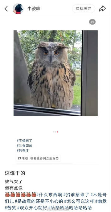 牛骏峰好好玩，比想象中还有梗，连上热点挺快的