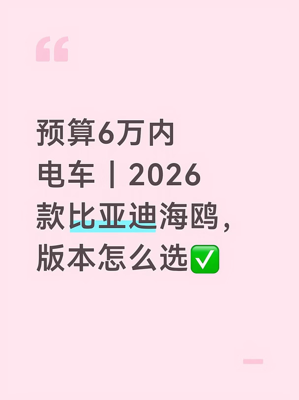 预算6w 内电车｜2026款比亚迪海鸥
