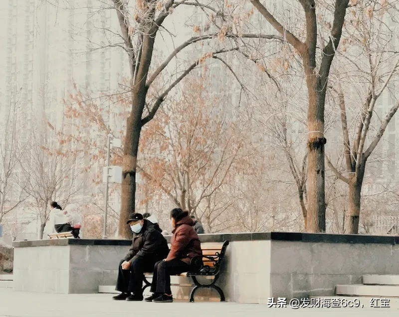 冬日生活打卡季 冬日暖阳下，老夫妻相依相伴，岁月静好。