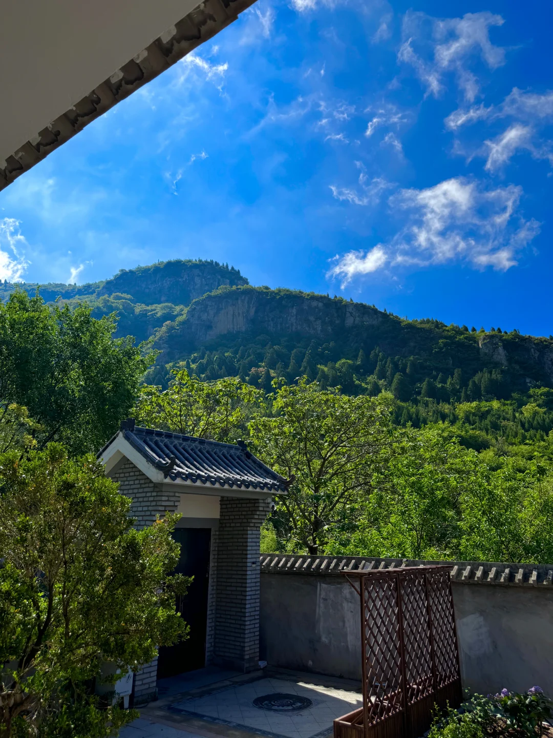 中医世家：身弱女子养生之道（修心、补印🍃）