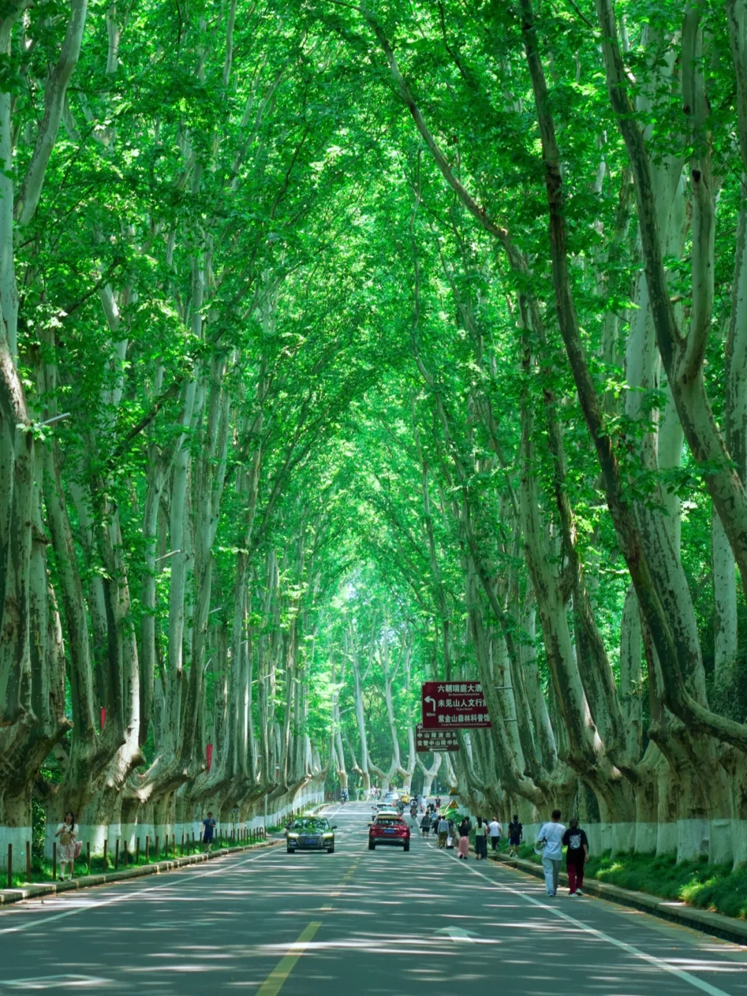 南京旅行后劲太大了😭，听听我的真实感受！