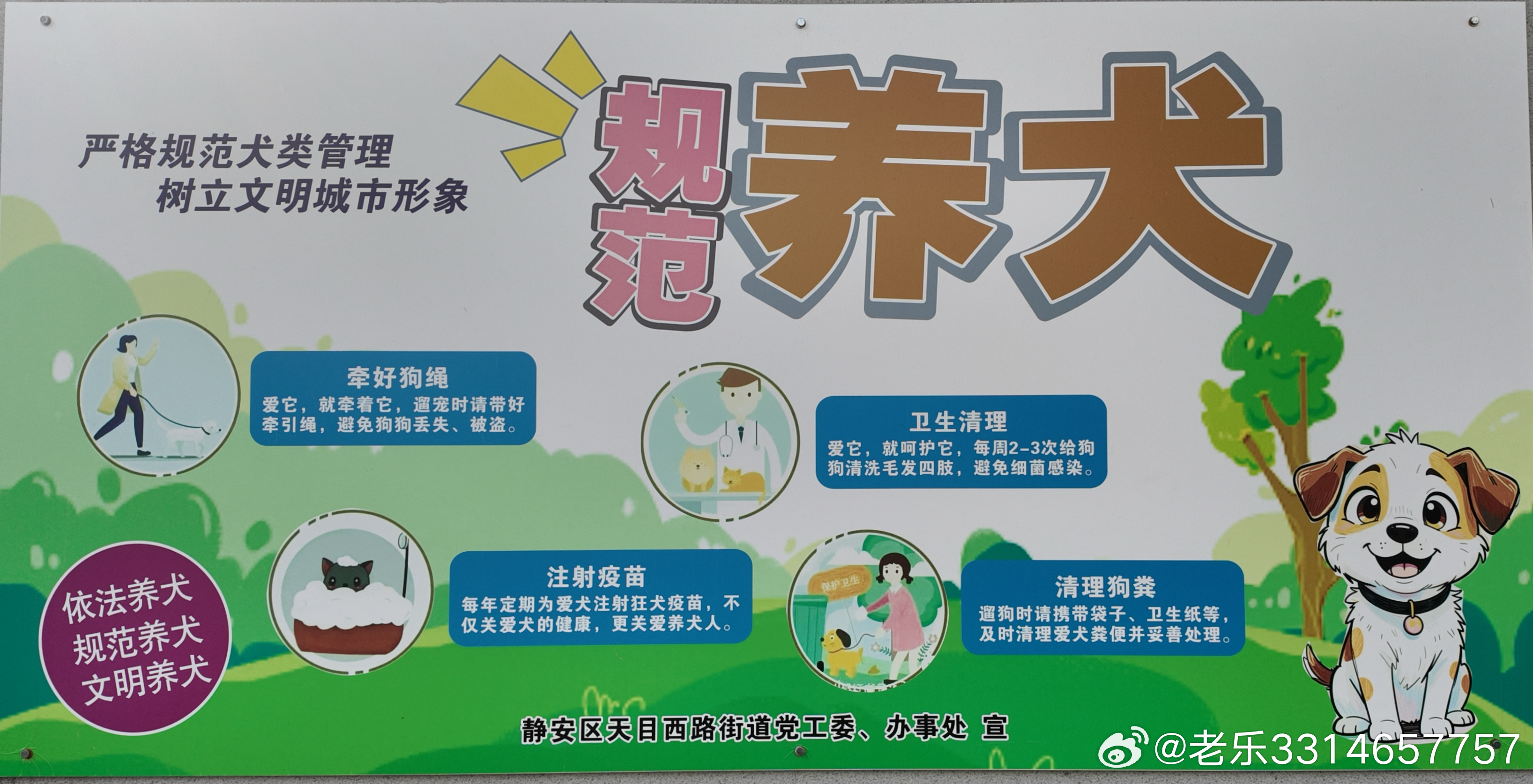 启示·一家之言#遛狗[超话]# 
走在普善新路上，在上海铁路局党校外墙上贴着四幅壁画感觉特别有意境！虽然看起来很普通，但还是时不时能够看到有人让自己的狗狗🐶不栓狗绳自由蹓跶，前一段时间晚上七点多，中兴路普善路口附近的金融街草坪上，经常可以看到有十条左右的大小狗🐶在一起嘻嘻打闹，狗狗 ​
