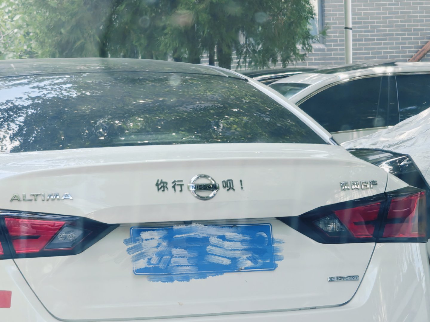 就，很可爱啊[揣手]好有意思的人类 ​