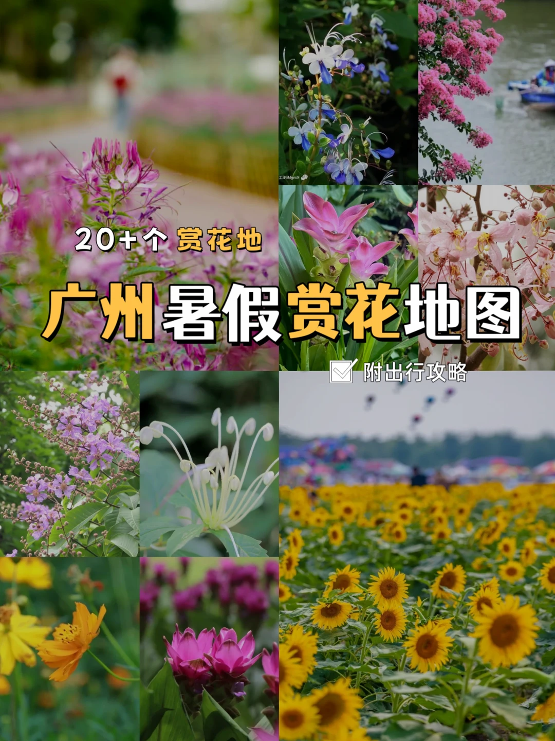 暑假限定❗广州20+个赏花地攻略