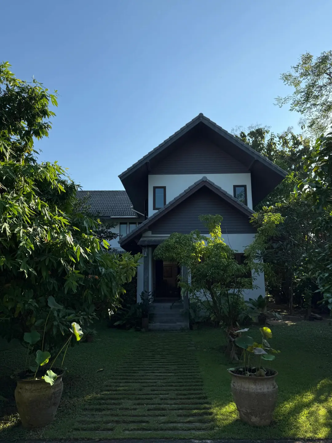 清迈🍃人均150+住到森林里的绝美Airbnb！