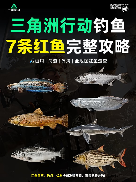 🎣三角洲红鱼图鉴全整理，一篇就够！