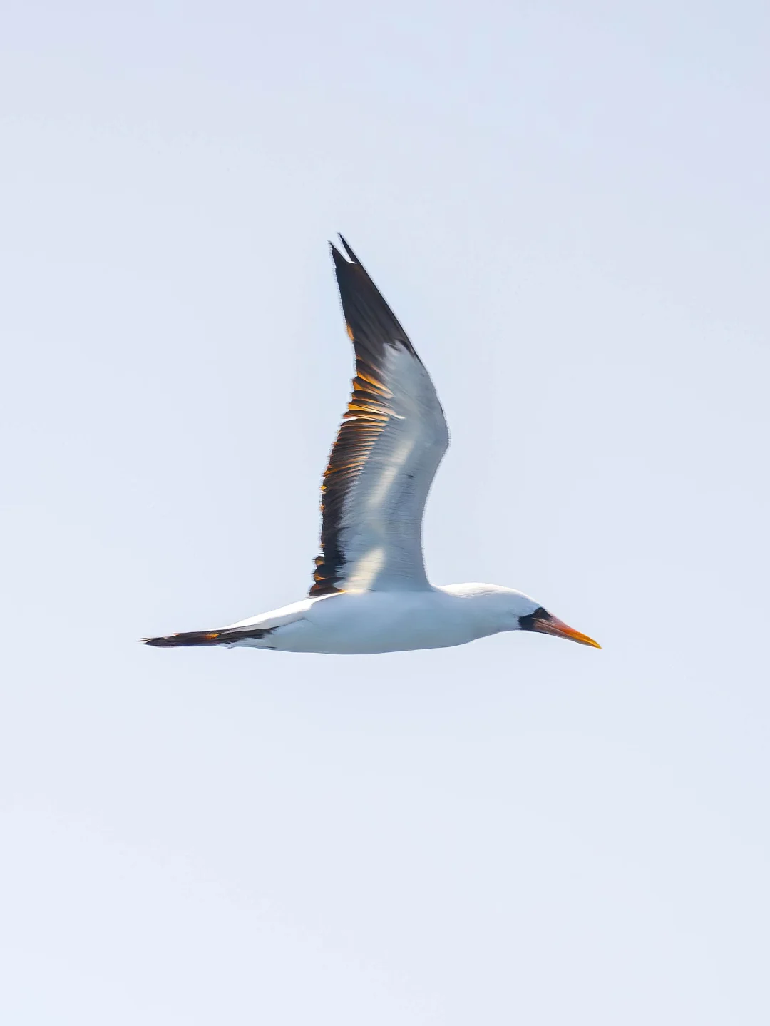 加了一个中国新纪录！