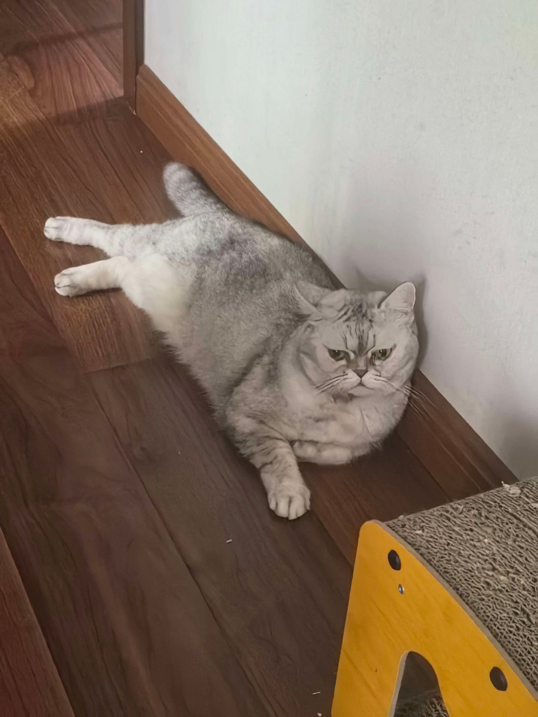 [坏笑] ​​​
