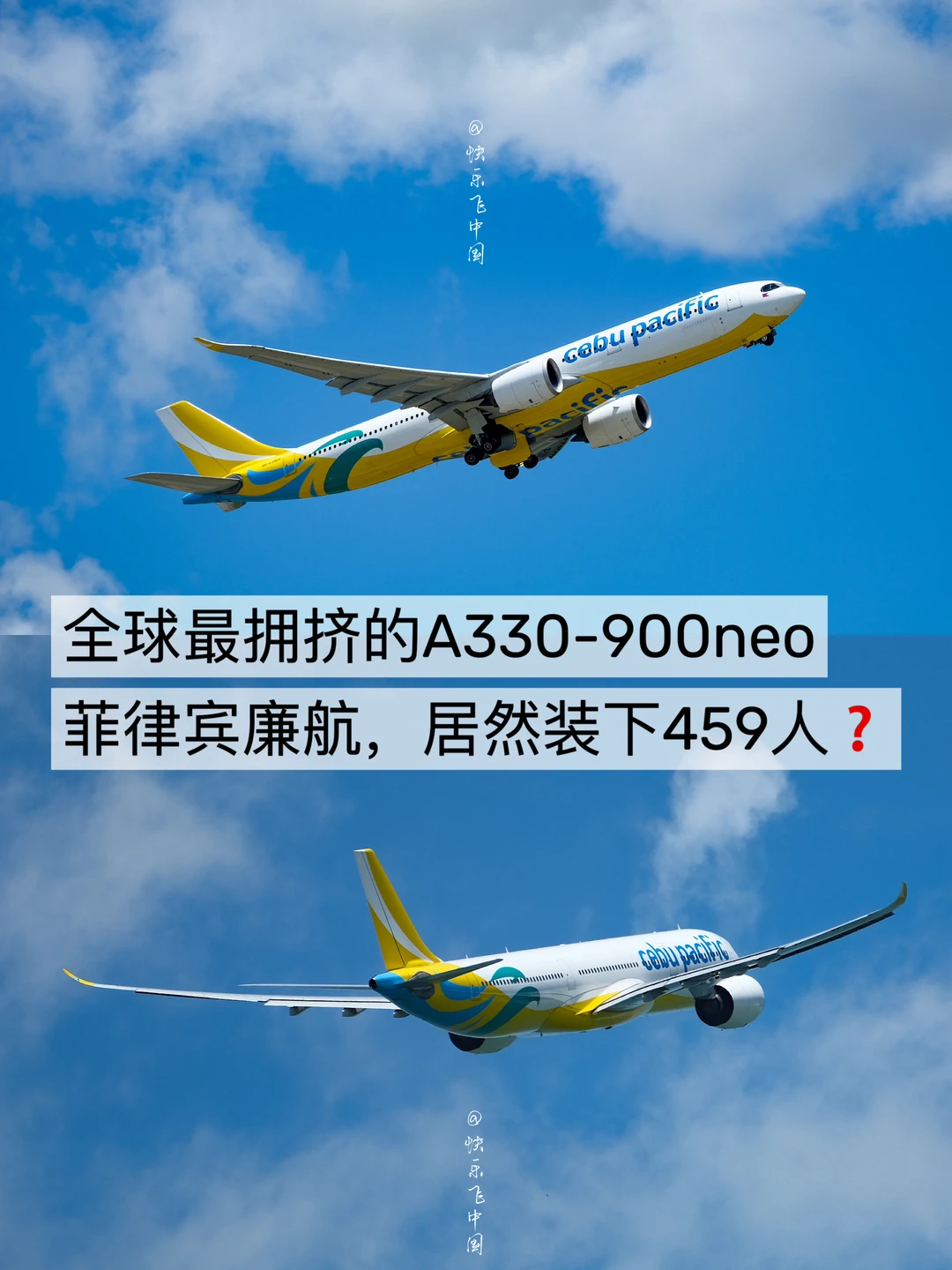 459座的A330-900neo❗️空中运奴船典范❓