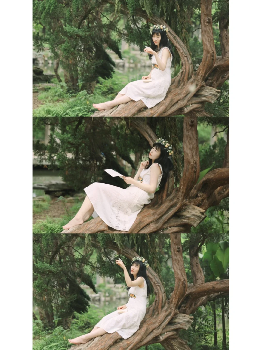 武汉这片森林秘境绝了❗️电影感拉满