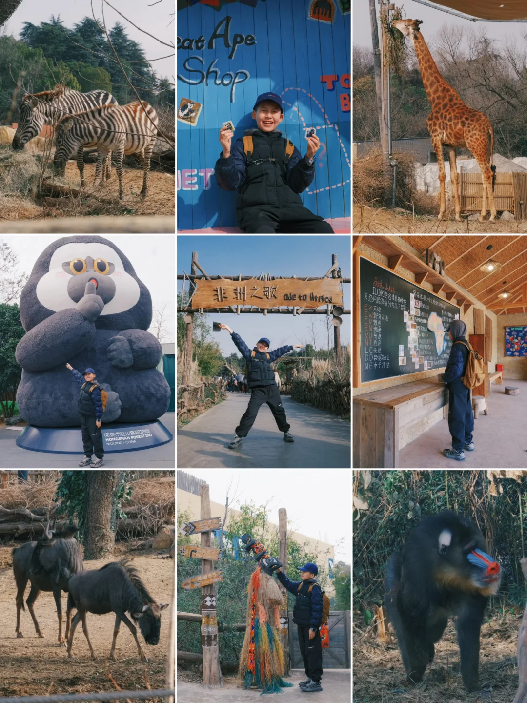 红山动物园是懂惊喜的❗️新区非洲线全程高能