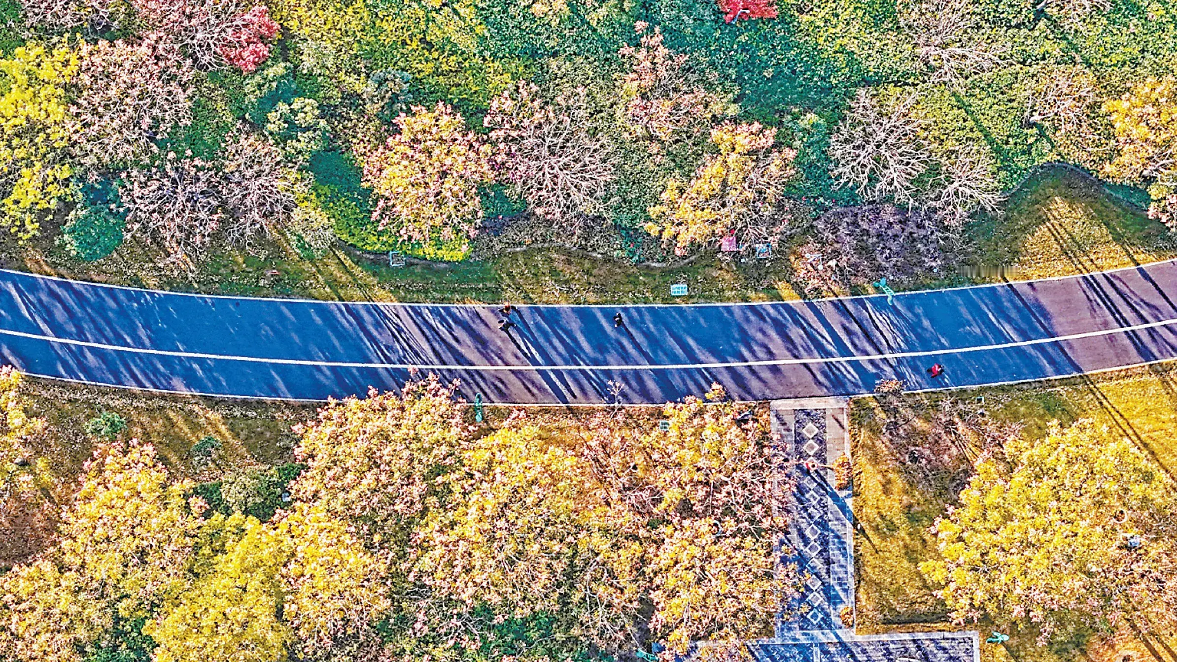 【冬景似春华 风致醉游人】11月28日，航拍镜头下，山水林田湖草项目滋...