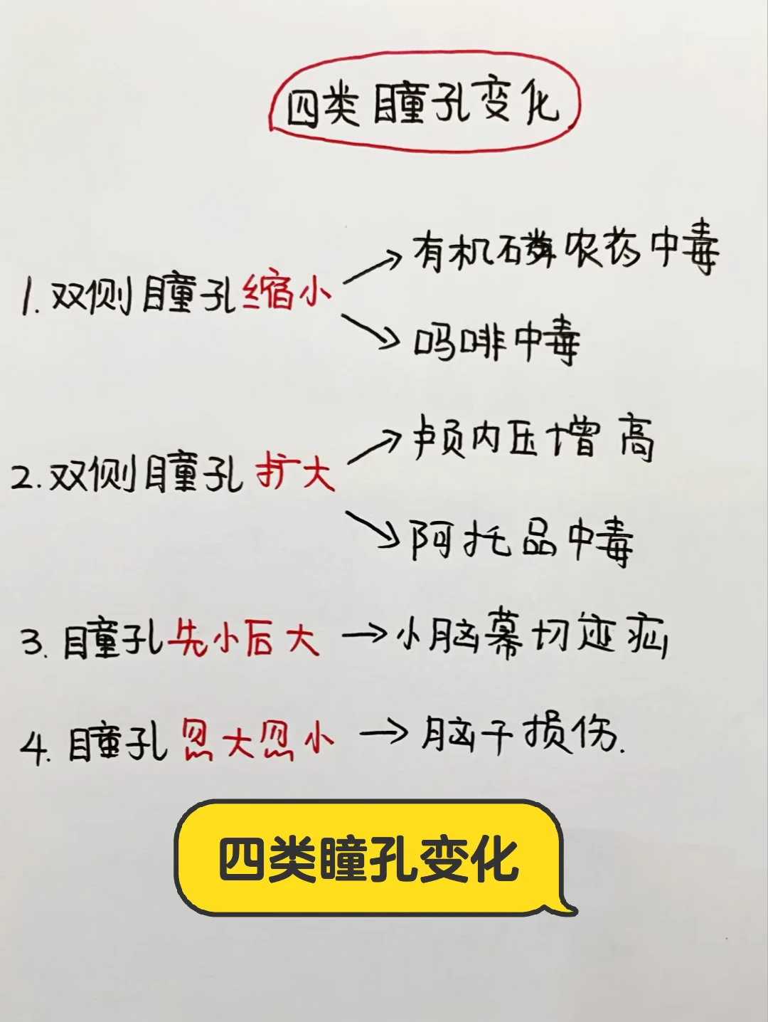 今日学习打卡——瞳孔相关知识
