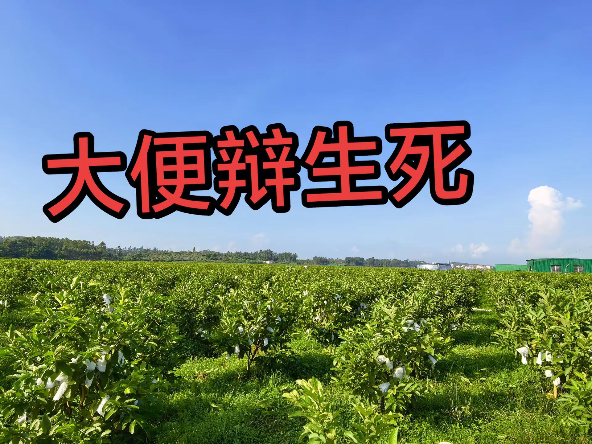 马刺还是太年轻了，关键失误&amp;绝杀不中，马刺主场再负尼克斯  
