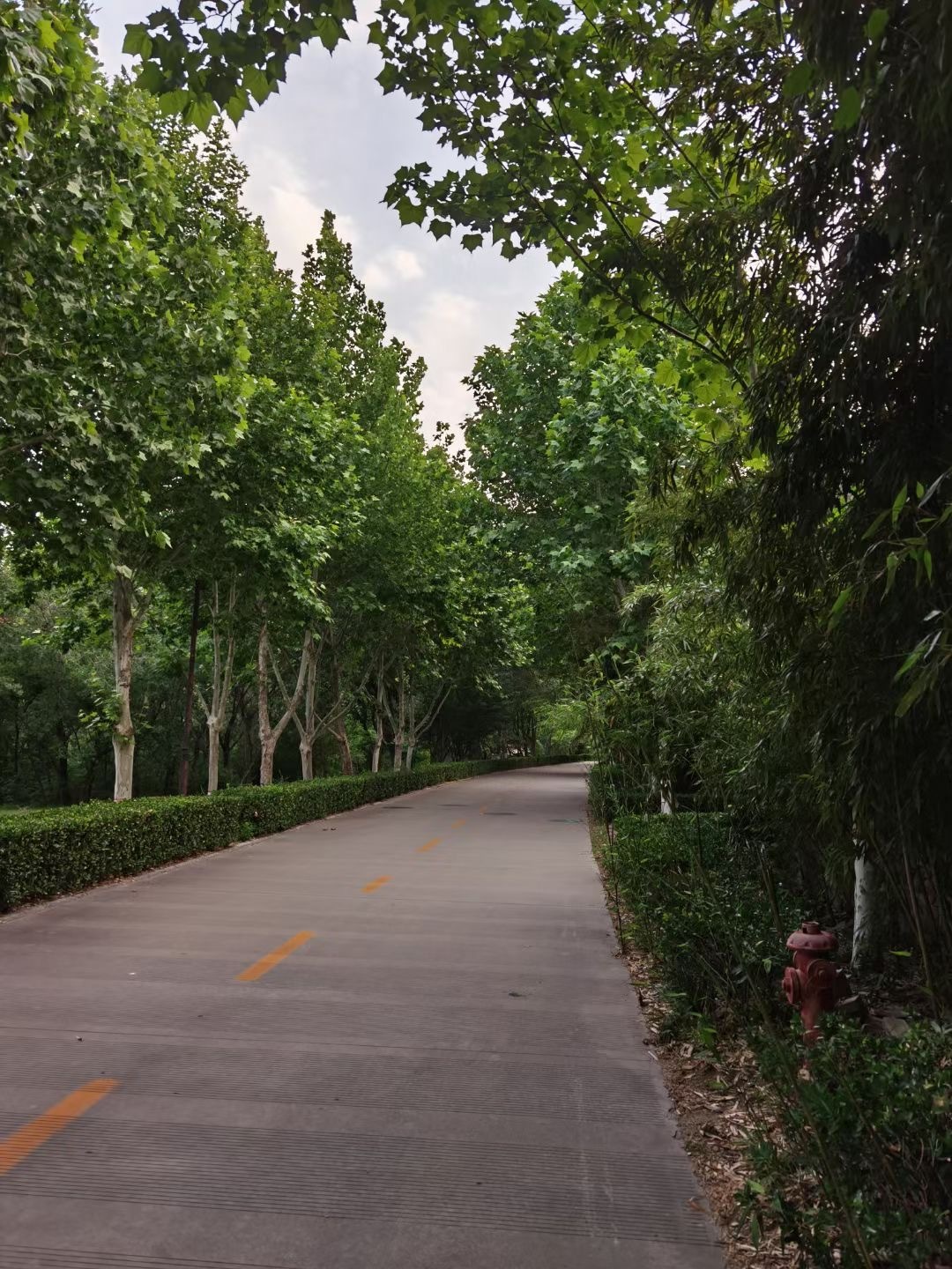 占卜，就相当于查地图问路。人生在世，难免迷茫，特别是站在人生的一些十字路口，比如毕业，择业，创业，结婚等，都是初次做人，不知道怎么走，求问大师占卜一下无可厚非。 ​​​