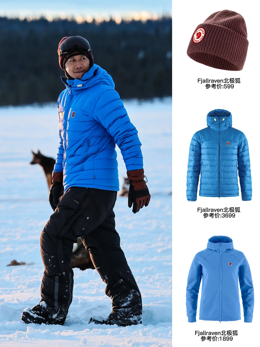 北极狐又搞事！带夏雨张京北极狗拉雪橇穿越