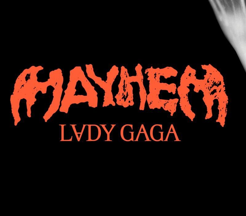 Lost 冲浪品牌拒绝向 Lady Gaga 支付 23.2 万美元的司法费用。

这家冲浪公司正在上诉对其诉讼被驳回的决定，并声称其对 Lady Gaga 提起诉讼有充分的正当理由，司法费用仅应在极端情况下授予，即诉讼从一开始就明显毫无根据。

Lost 在周四的书面文件中还辩称，Gibson Dunn 提出的律师费申请——高达 2 ​