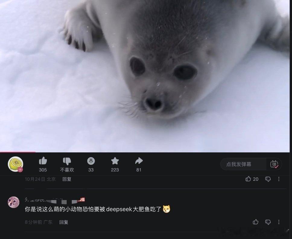 可是这只是一只可爱的小海豹 ​