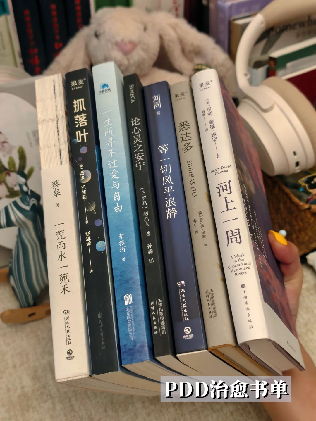 当你累了，就让这7本书温柔接住你的疲惫