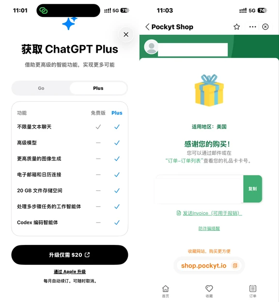 GPT plus订阅踩坑经验