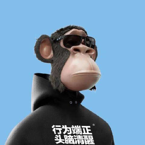 五哥在专心搞机