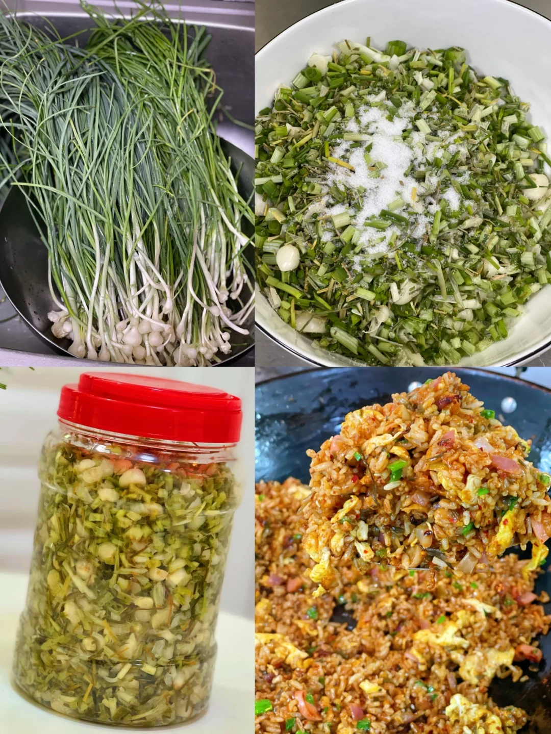 野葱腌制方法/野葱炒饭详细做法来啦