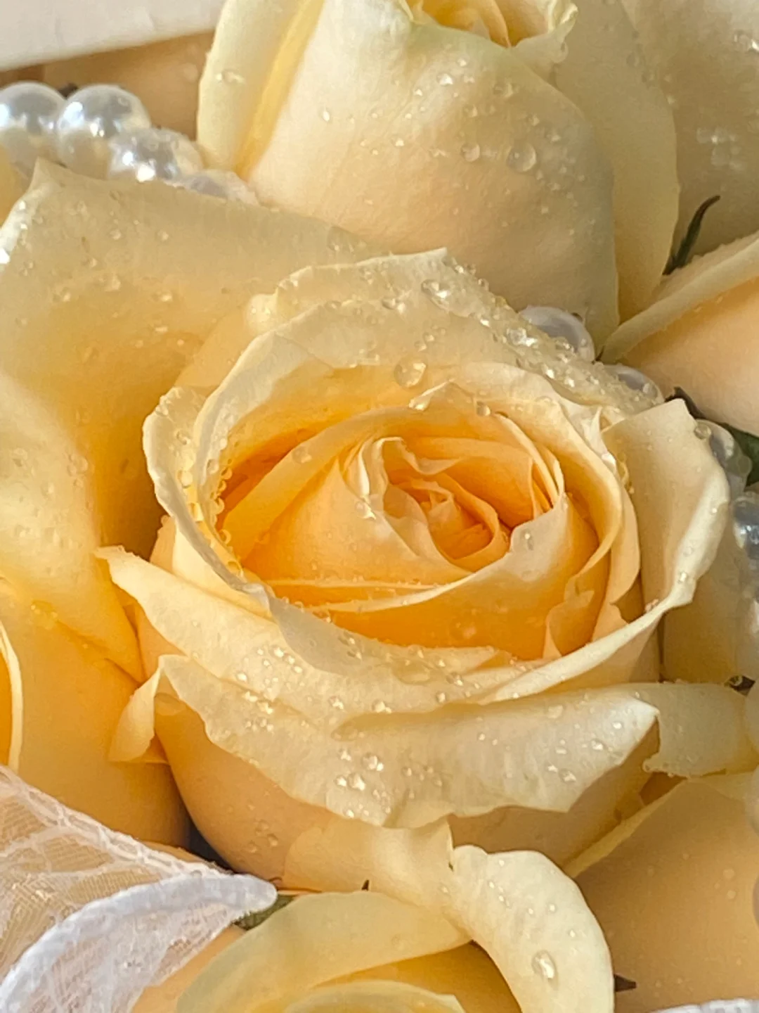 妈妈永远是少女🌷