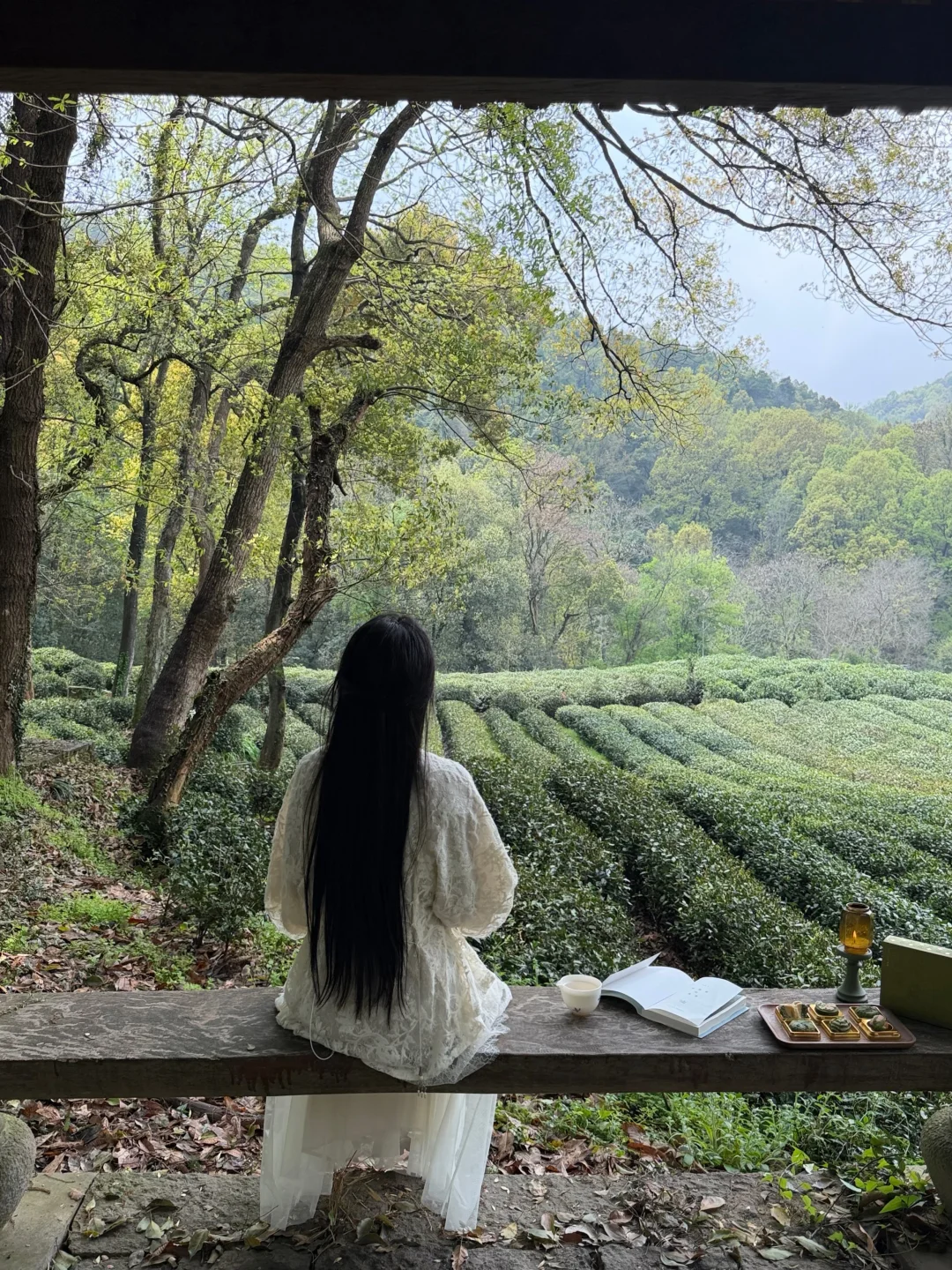 i人 独处 断联 春天去茶山野餐