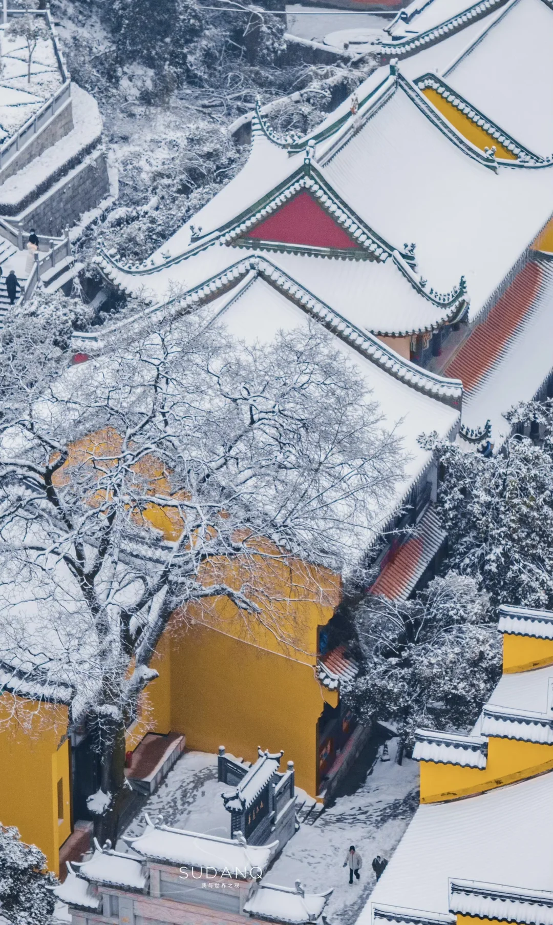 武汉会下雪吗❄️期待一下吧