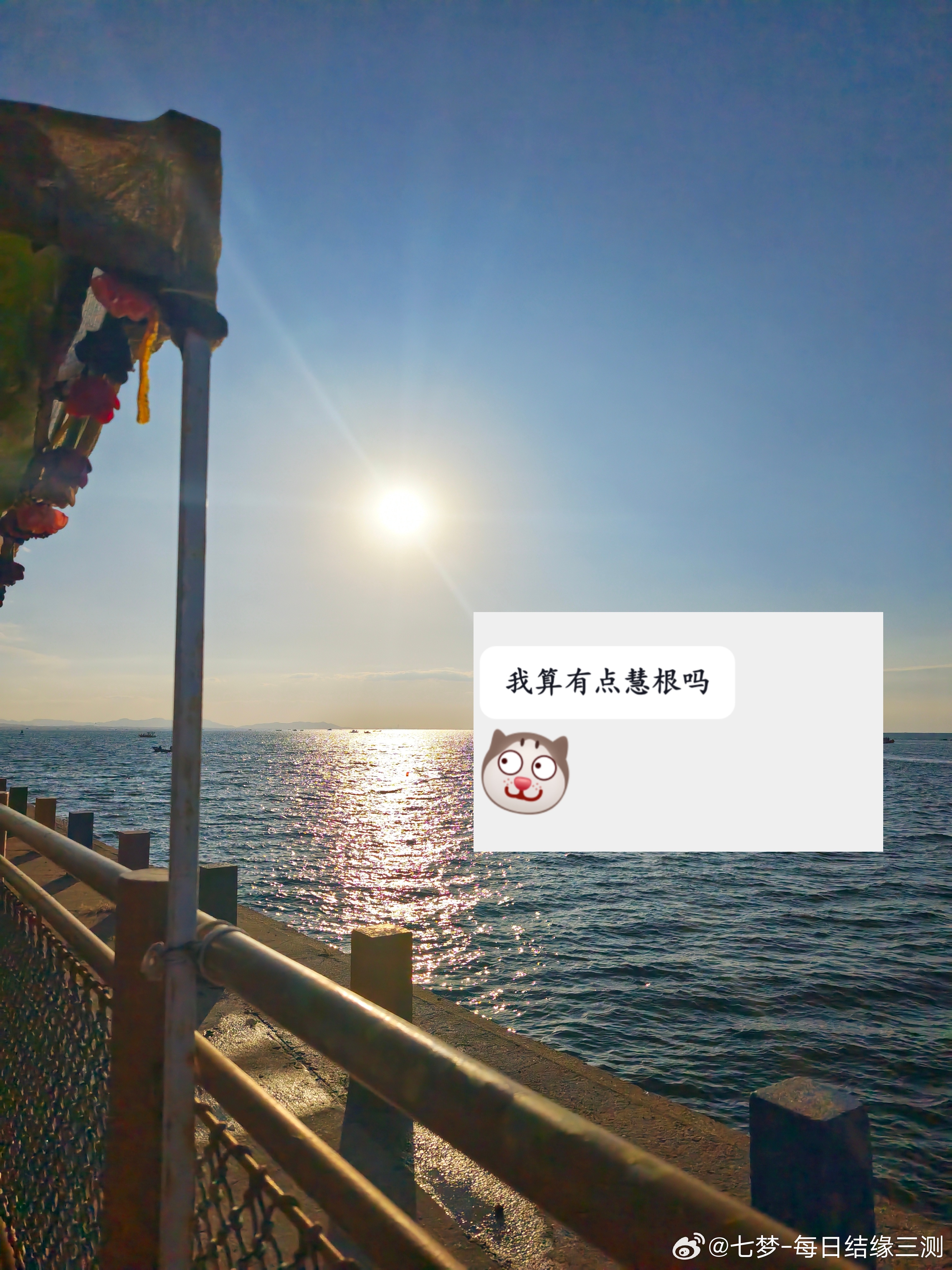 收到这句话我愣了好久
佛教中的“慧根”严格属于“五根”（信、进、念、定、慧）之一，特指观达真理、破除烦恼的智慧。

道教虽不强调这一套严密的“根”体系，但接纳了“悟性高低”的通俗含义。简而言之，在道教语境下谈慧根，通常就是指一个人修道的天赋、悟性与载道的器量。
​以上是我借用DeepSeek ​