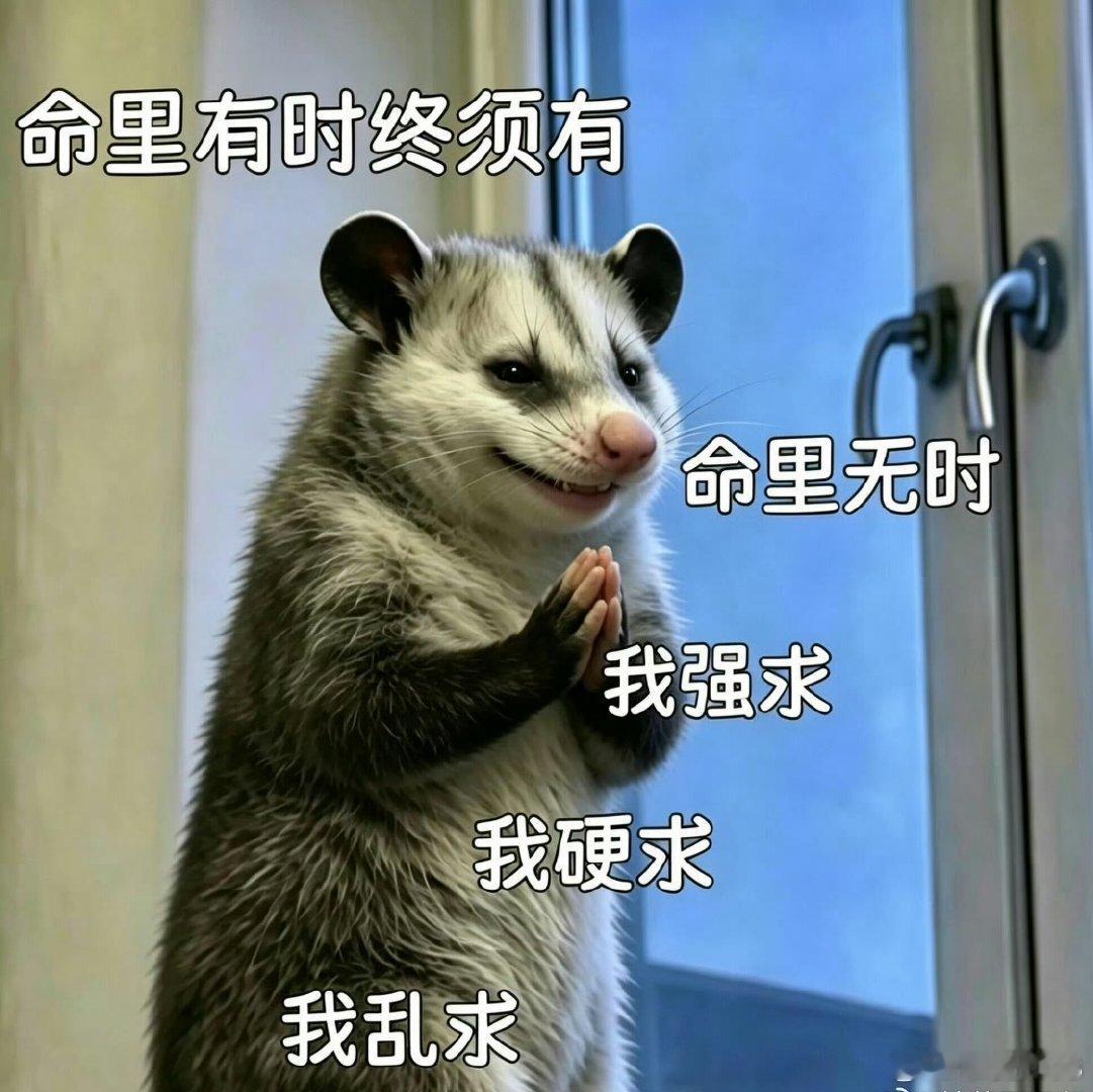 #肖战[超话]##肖战爸爸妈妈听得比肖战还要嗨#哈哈氛围好好，我也想带爸妈去看你的演唱会[爱慕][爱慕]#肖战现身舞蹈工作室# ​