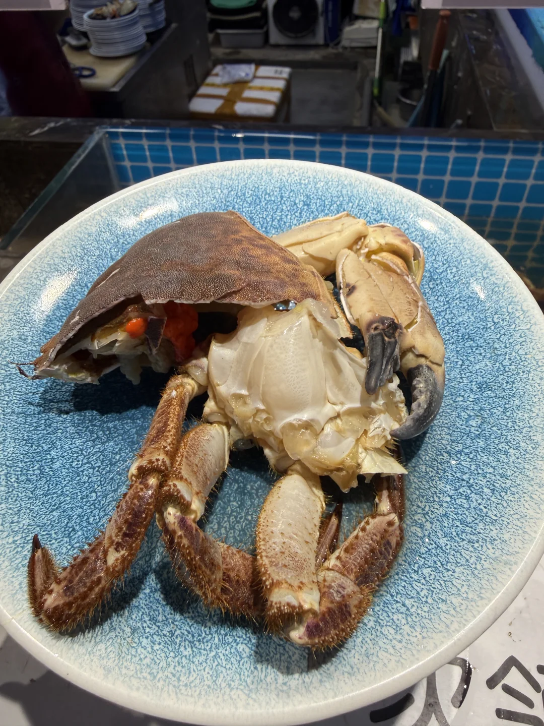 被靓渔盛宴狠狠拿捏海鲜自由🦞