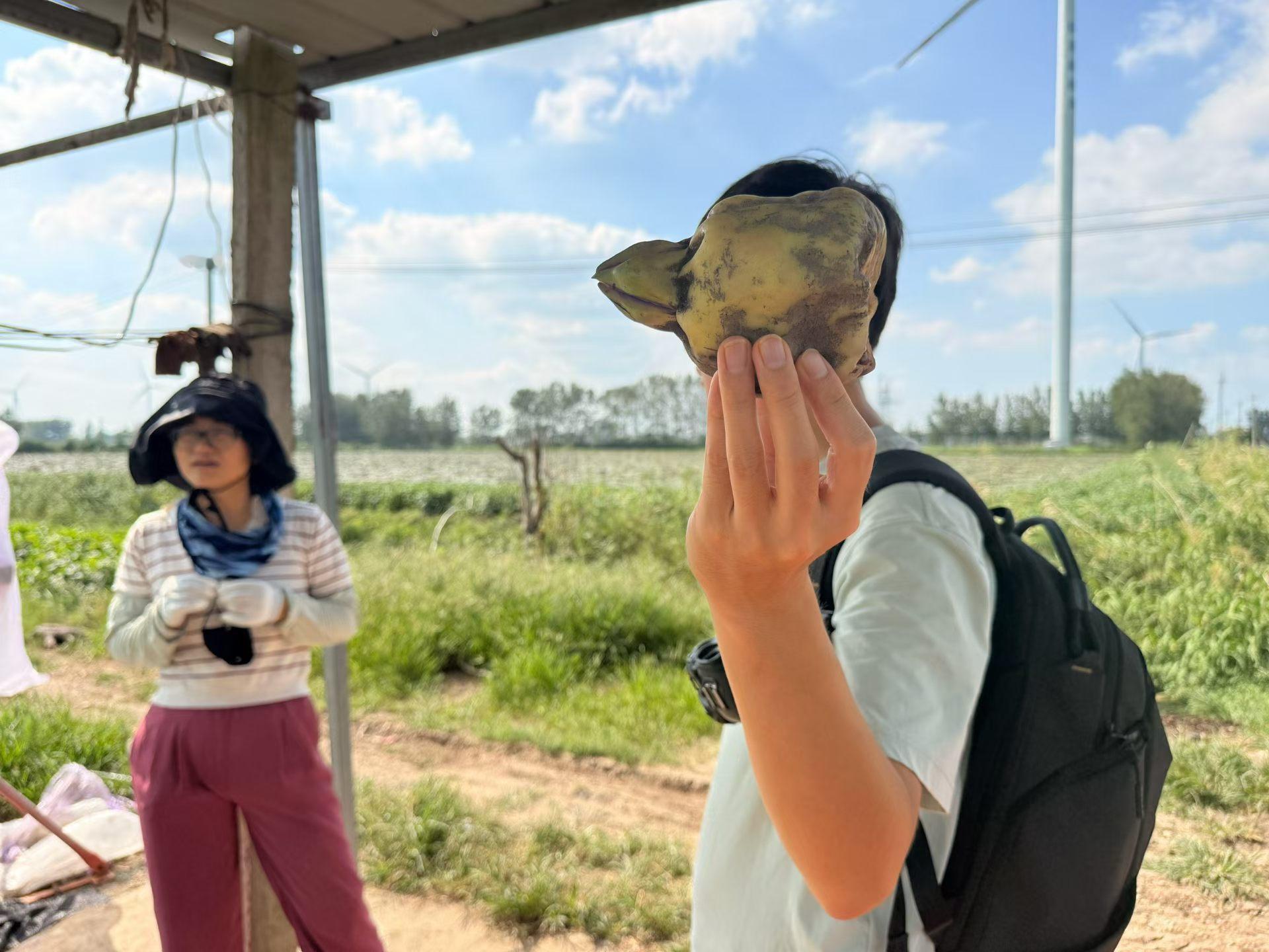 本草实地之观察———江苏芡实

图 0，江苏的芡实，简称苏芡，没毛病。
图 1，无人机打药，具体药名没敢拍。打药不可怕，打不可降解的才可怕。
图 2，鸡头米之所以叫鸡头。
图 3，鸡头破坏者，晚上点了盘烧鸡都没鸡头。
图 4，壳米过筛，分大小，墙上写了具体号码。
图 5，破壳，步骤 4 不同大小对应不 ​