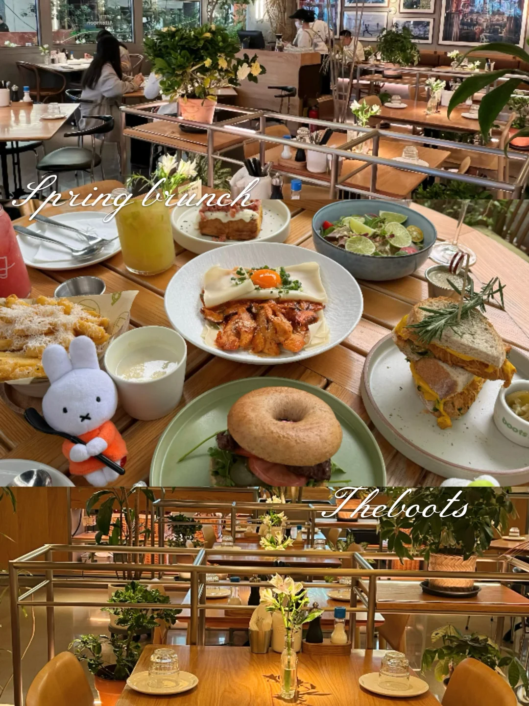 重庆阳光露天brunch🍃好chill啊……