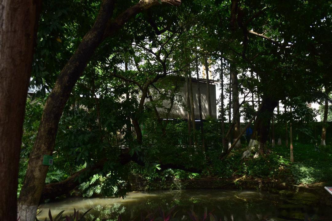 2026.7.9 咸仔的公园20分钟效应计划｜东苑公园（黄埔区）我是从...