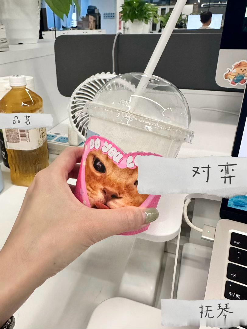 人在广东 把台风天当秋天的一人 ​