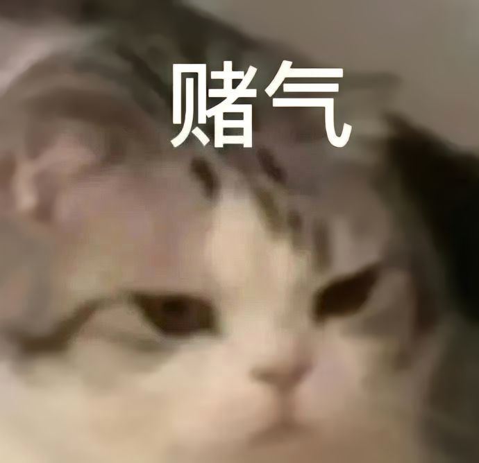 可可爱爱的猫咪表情包