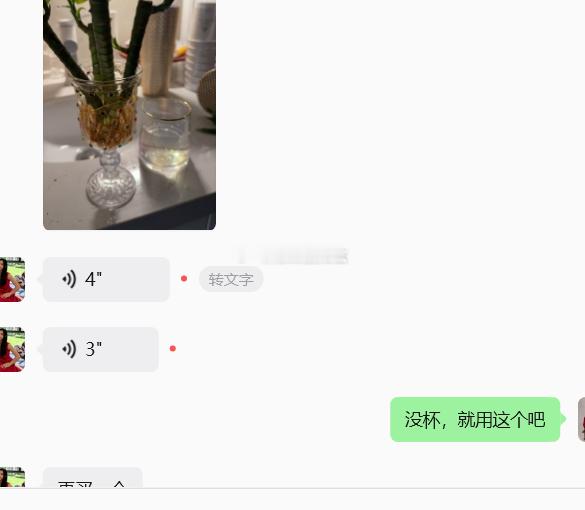 文昌竹与富贵竹，催文昌不要搞混

不少客户会来问我，催文昌选文昌竹还是富贵竹，二者看似相近，实际效果与用法是有区别的。

文昌竹株型相对低矮，气场收敛，更贴合文昌位的需求，利于思维、专注力。而市面常见的富贵竹好养活，长势迅猛，植株容易长得很高。

很多人忽略摆放场景，直接买高大的富贵竹 ​