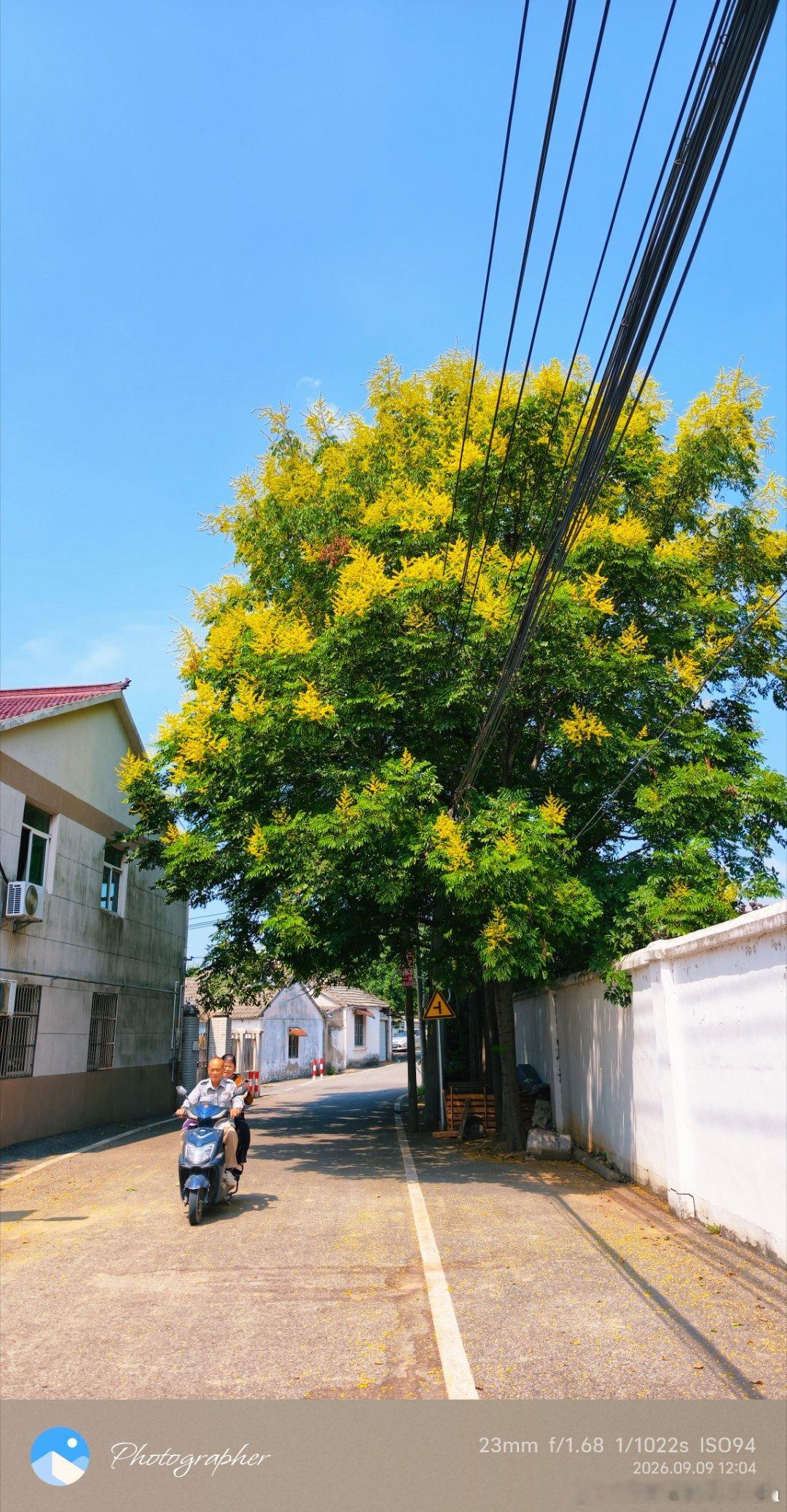 来自乡村的闲适感#随手拍# 

墙角的🌺
小时候才能见到的植物
留守老人的日常
…
都值得记录的

#vivo[超话]##手机随手拍##突然发现了舒服的工作状态#
干好本职工作    洞察一切静观其变[哈哈] ​