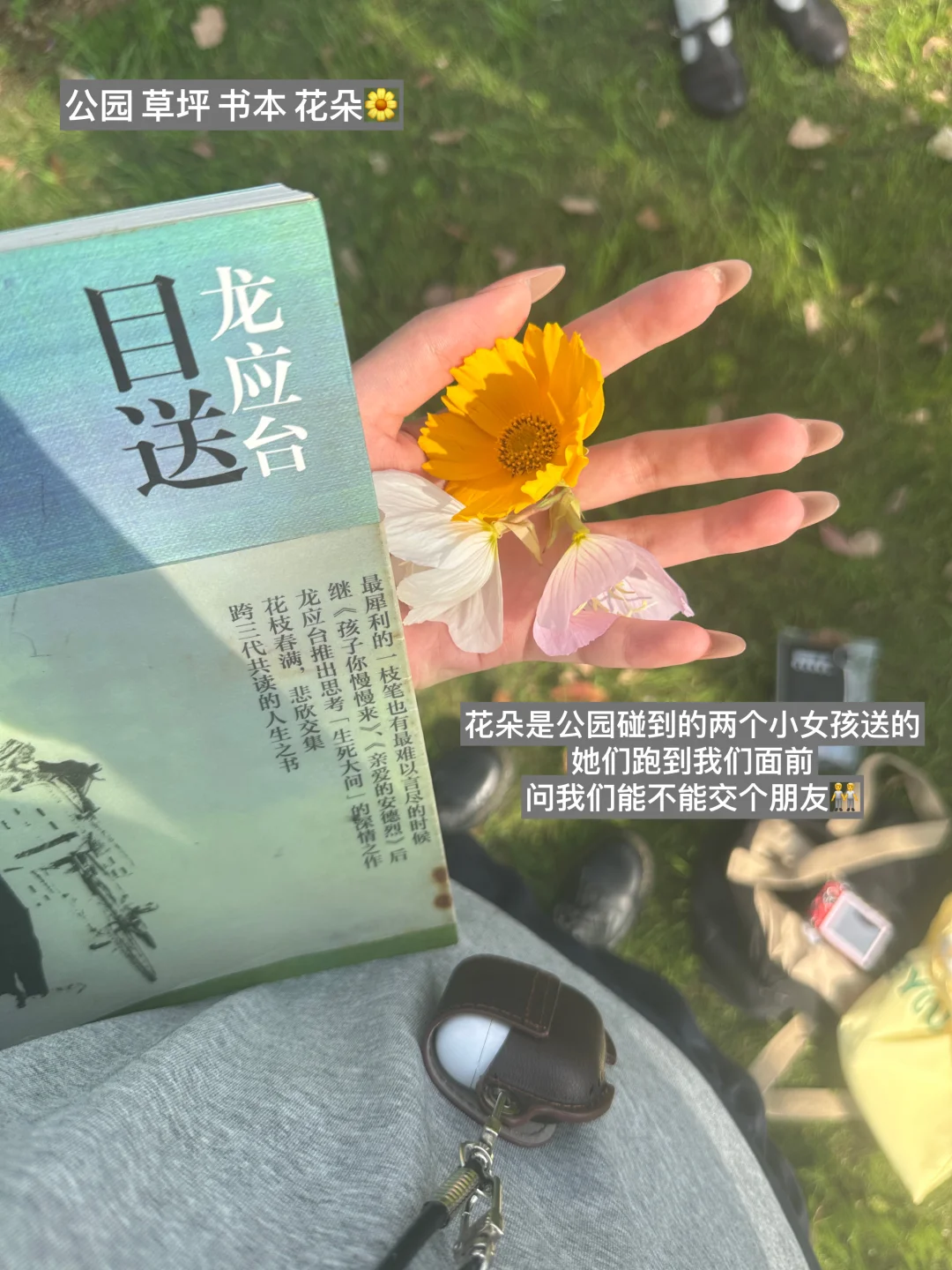 喜欢的话，夏日有回音🌿