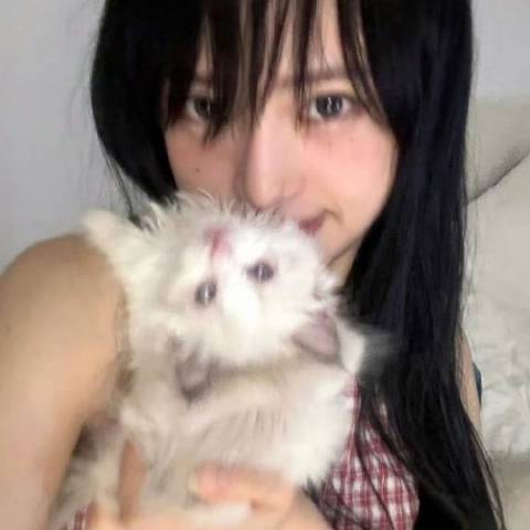 娱木森
