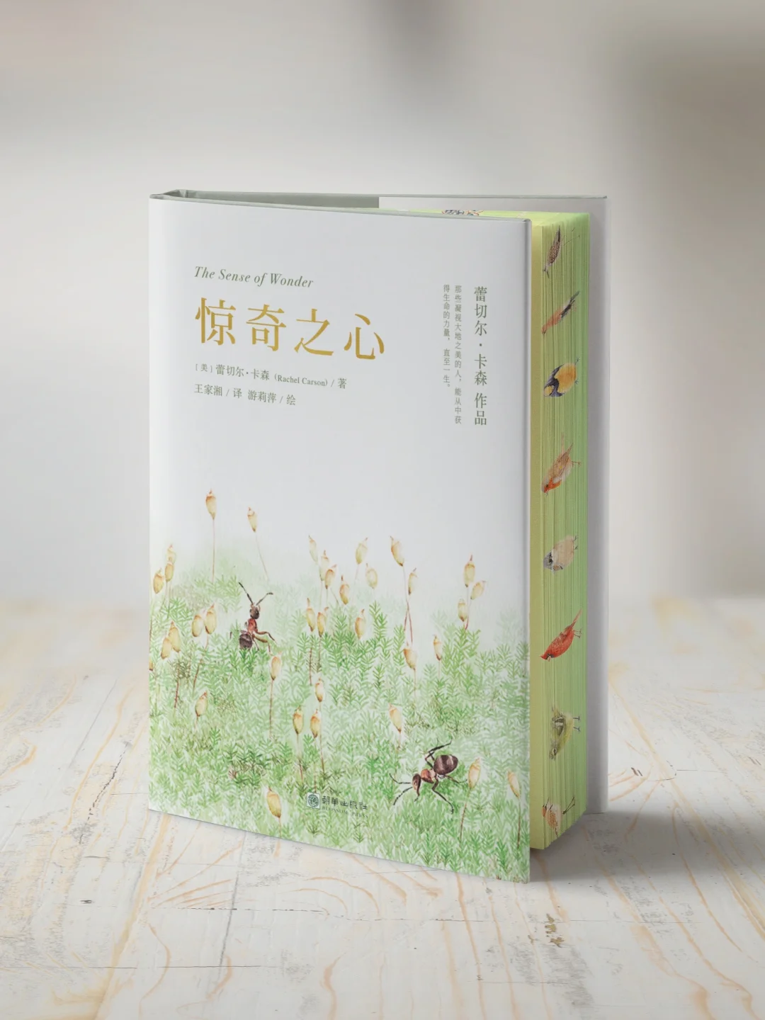 跟我买一本好书｜我今年最最最期待的书！