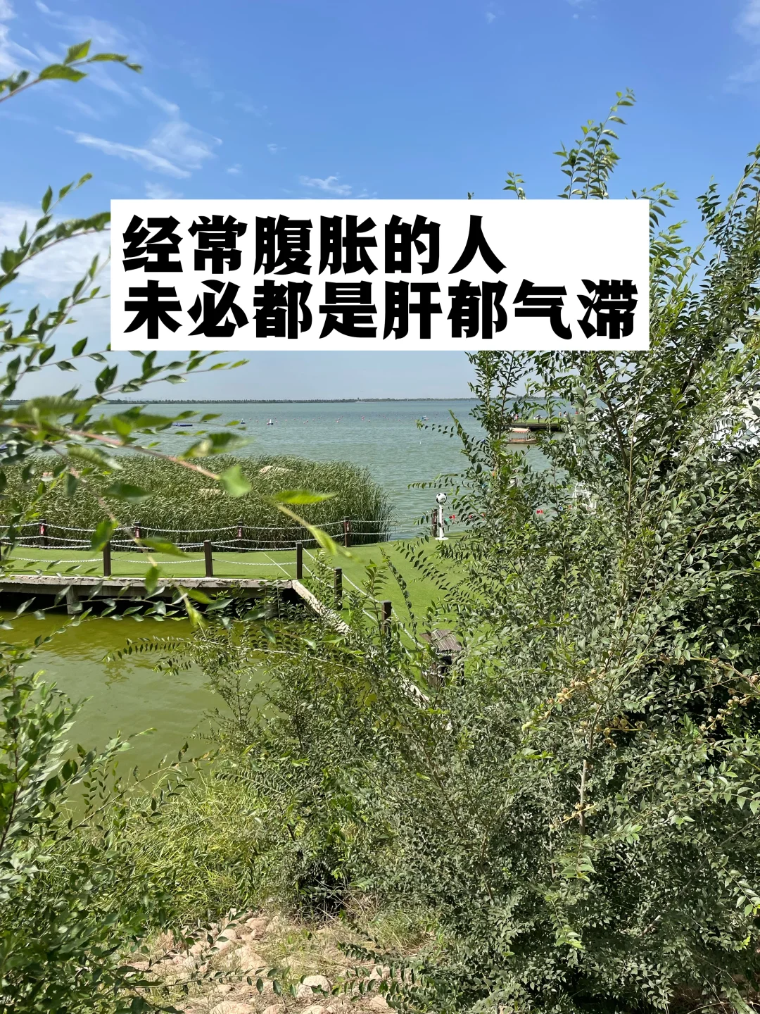 经常腹胀的人，未必都是肝郁气滞.