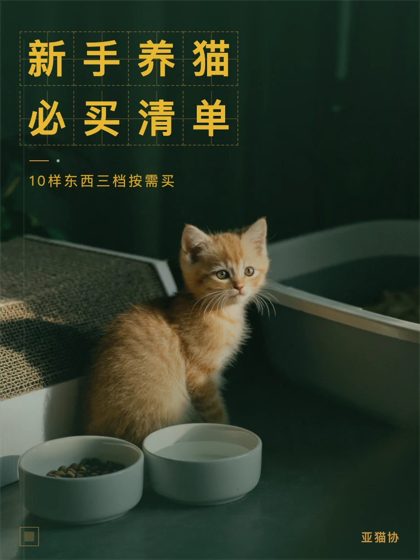 新手养猫必备清单