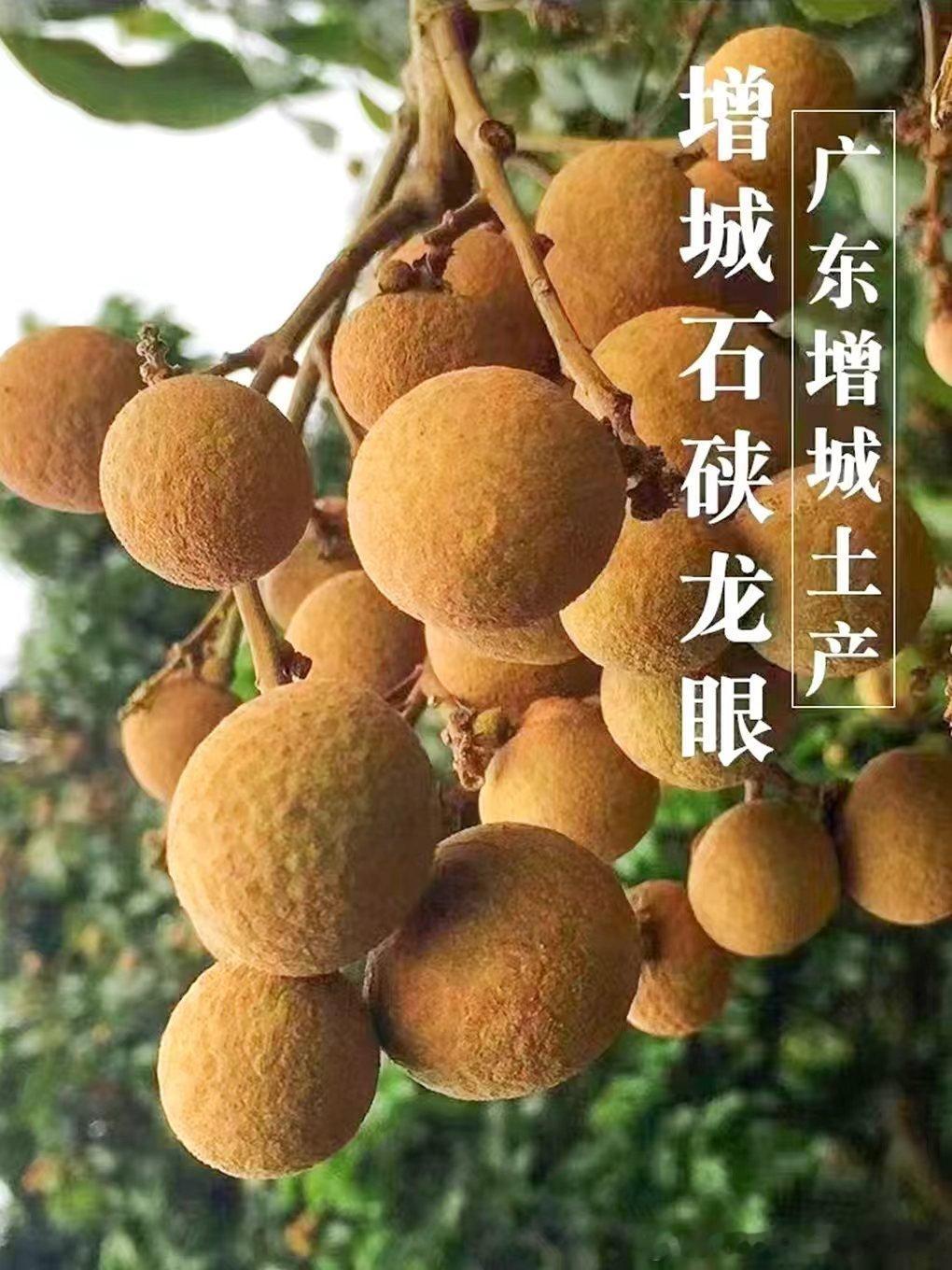今早5点多讲完波从演播厅出来，本来打算从新滘路转上猎德大桥回天河。一驶...