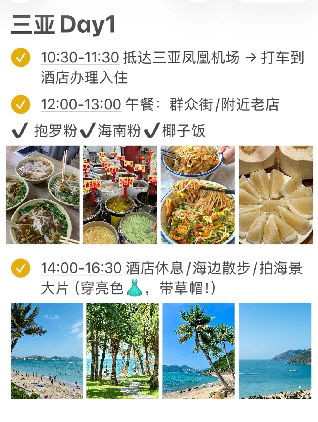 本J人对自己做的三亚攻略满意的不行…